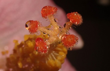 P1033550a.jpg